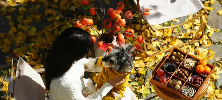 山间小住•Mountain︱花间漫野︱无边泳池隐奢美墅(韶山景区店)图片