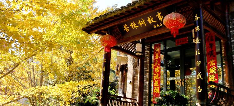 花筑奢·黄山苦株树故事民宿图片