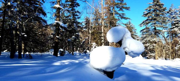 长庚酒店(雪乡景区)图片