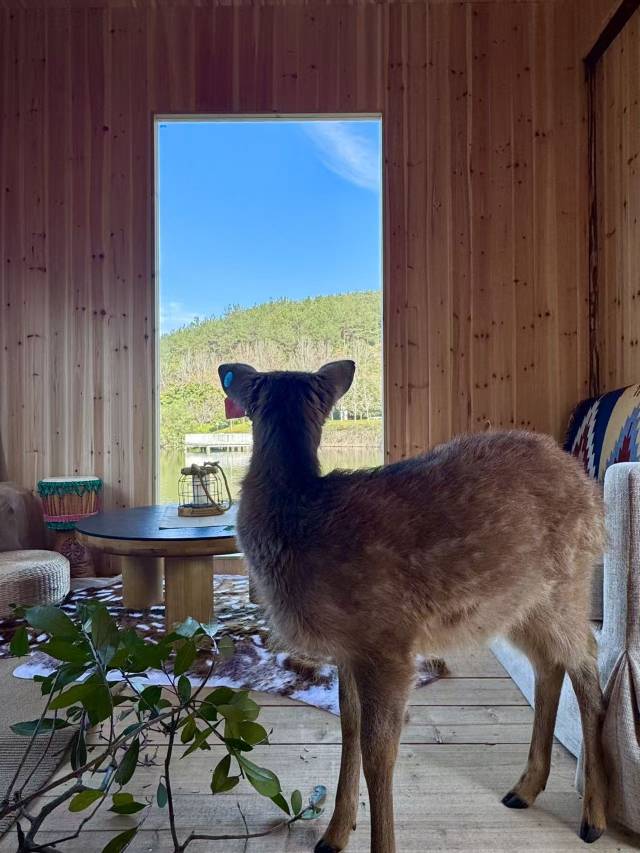 宁波东钱湖华侨豪生大酒店(二灵山温泉店)图片