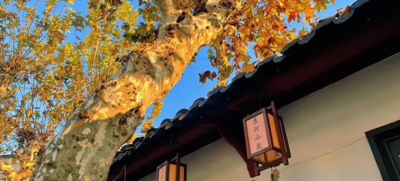 苏河小筑·Encounter河畔美宿(平江路拙政园店)图片