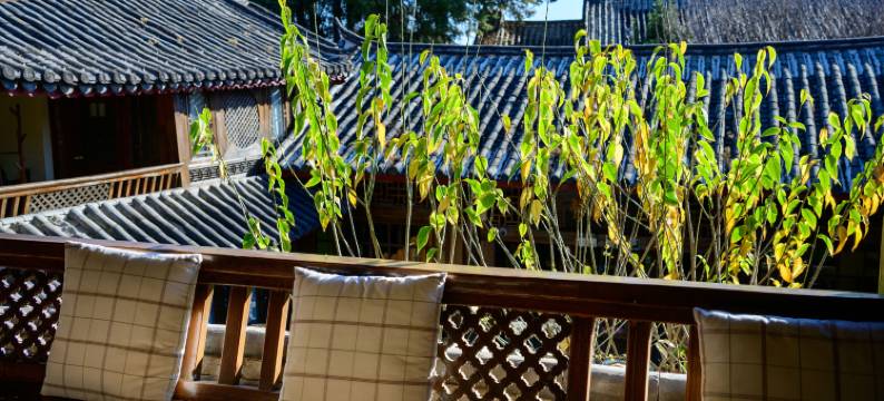 丽江花间堂·植梦图片