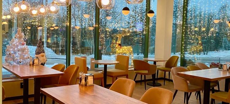 丽柏酒店-摩尔曼斯科珀丽阿尔尼苏里(Cosmos Murmansk Hotel)图片