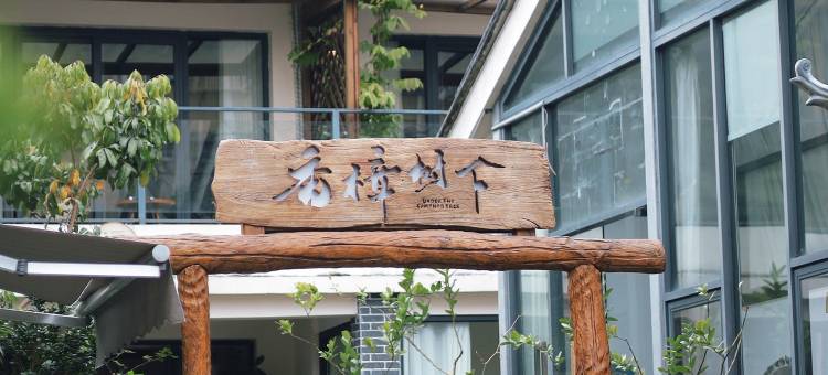 香樟树下民宿(大田世居店)图片