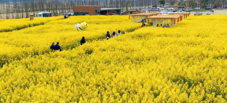 宜昌威斯汀酒店图片