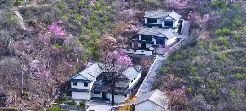 鹤壁伴山静居民宿图片
