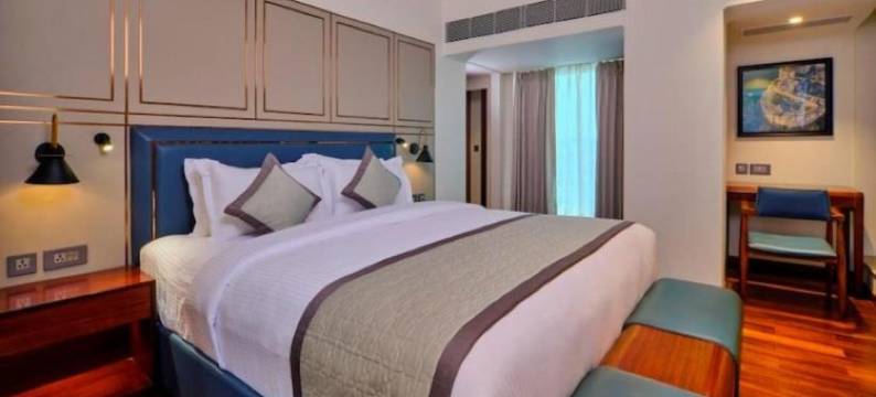 乌代布尔骄傲酒店(Pride Hotel Udaipur)图片