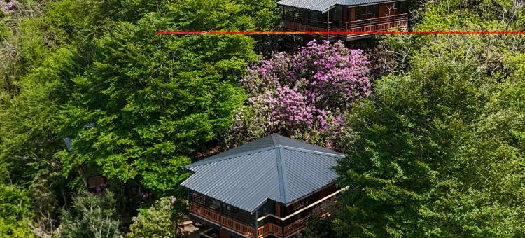 Indra Village Hotel图片