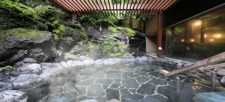 富士湖酒店(Fuji Lake Hotel)图片