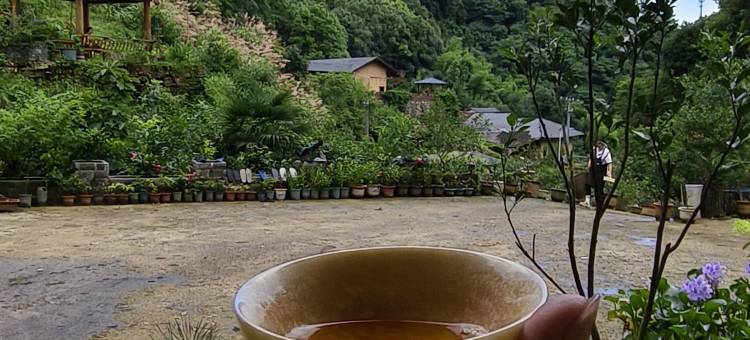 大沩云墅民宿图片