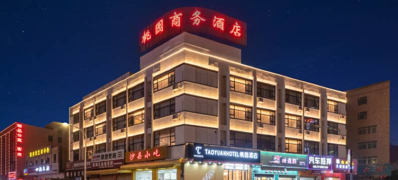 桃园酒店(佛山官窑店)图片