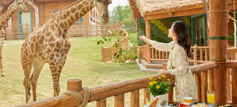 郑州银基冰雪酒店(动物王国店)图片