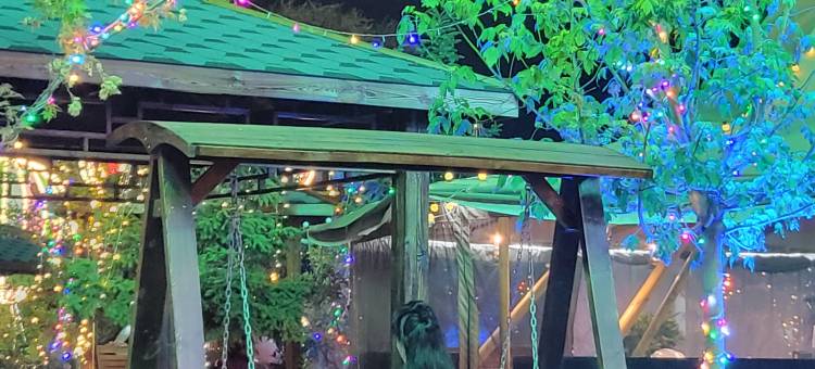 白沙湾丽景温泉露营基地图片