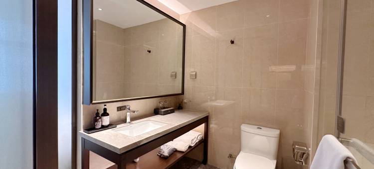 格林东方酒店(南宁五象总部基地地铁站店)图片