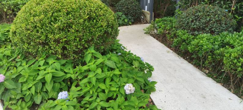 极限青年旅舍(上海体育馆店)图片