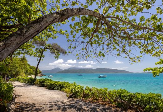 Fitzroy Island Resort Hotel Overview