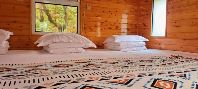 济南乐沃营地宾馆图片