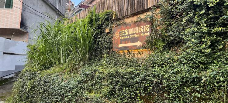 景德镇三宝咖啡民宿图片