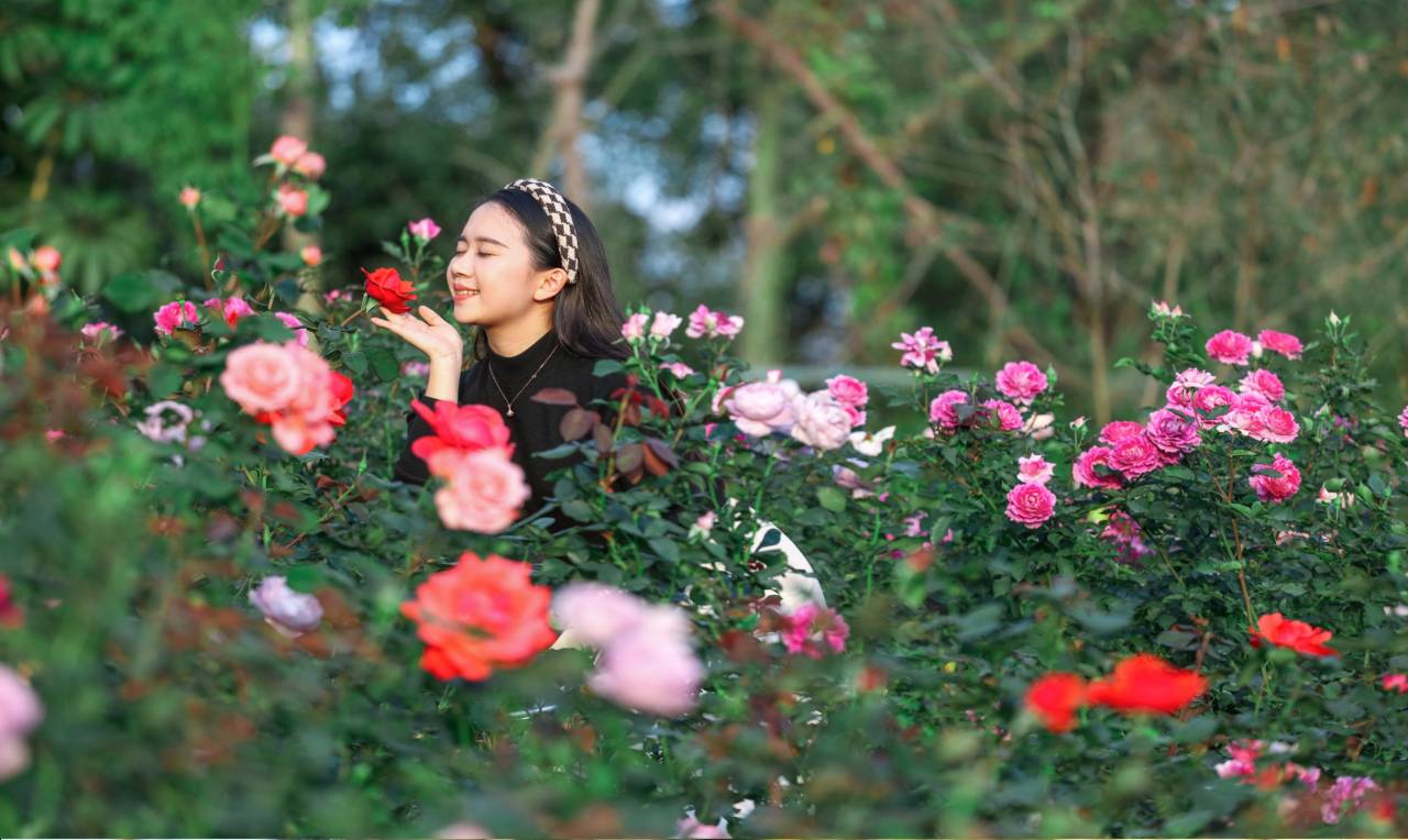 河源巴伐利亚庄园福朋喜来登度假酒店图片