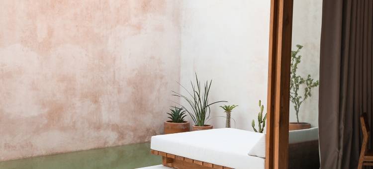 月牙(Lunaya)图片