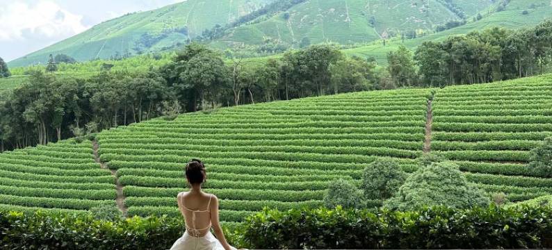 树下小白屋·小羊肖恩主题民宿(安吉白茶观景平台店)图片