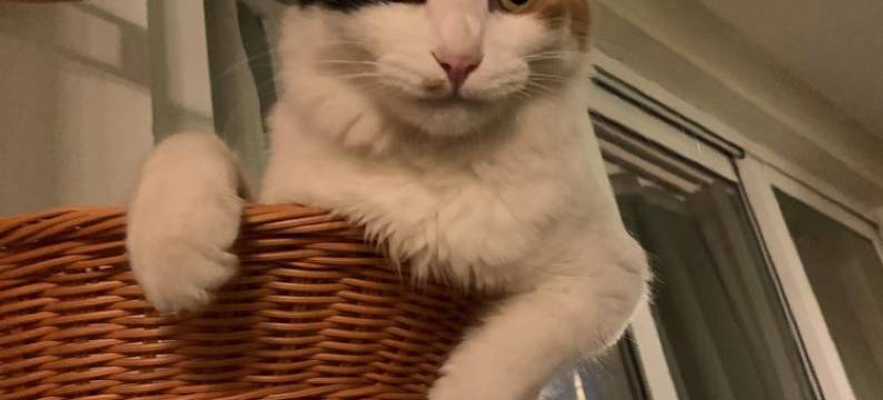 大理希望家的客栈图片