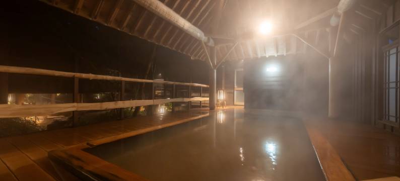 别馆深山樱庵 平汤馆 (Hirayukan)(Miyamaouanbekkan yumegurinoyado hirayukan)图片