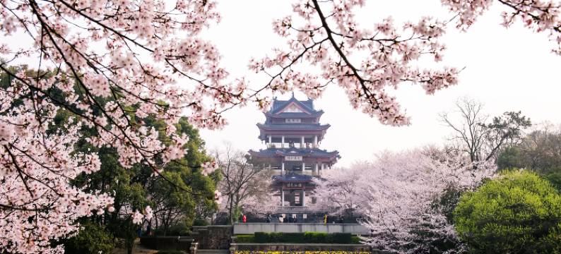 SY·宿也高空观景设计师度假美宿(无锡滨湖万象汇太湖西大道店)图片