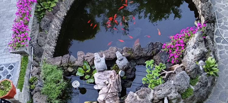 凤城在水一方温泉酒店图片