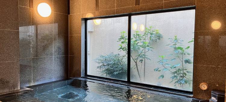 露樱酒店水海道站前店(Hotel Route-Inn Mitsukaido Ekimae)图片