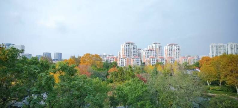 新人人酒店(上海大宁国际闸北公园店)图片