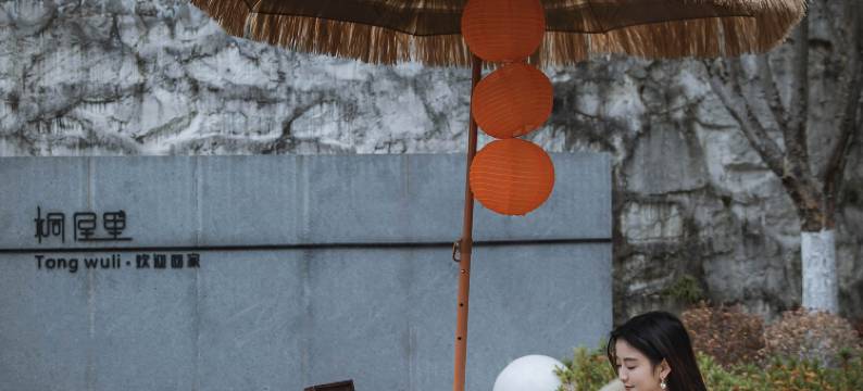 桐屋里·TOWU温泉设计师美宿图片
