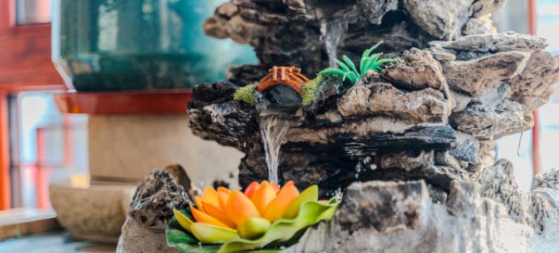 新高地民宿图片