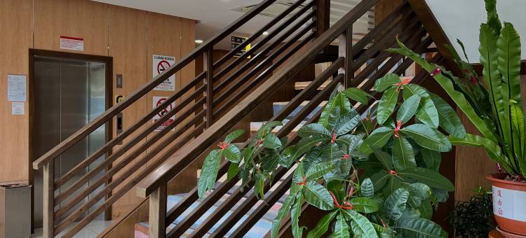 D阿克酒店(D Arc Hotel)图片