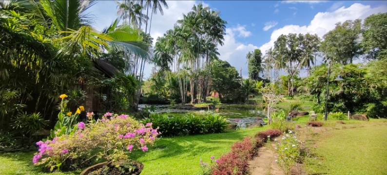 丹绒旅馆(Tanjung Inn)图片