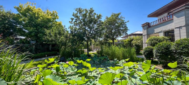 戴河首岭民宿(阿卡小镇店)图片