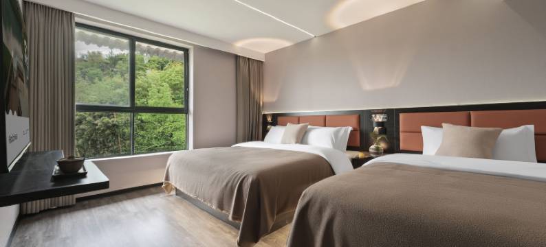 RelaxCan丽宽汤泉酒店(峨眉山风景区报国寺店)图片