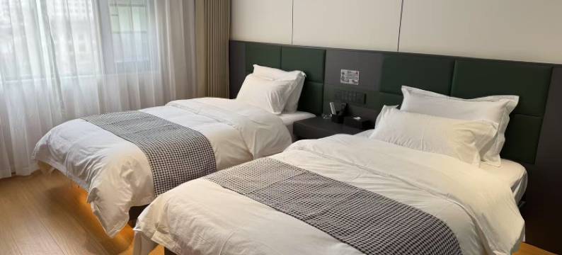 水墨云中酒店(墨脱游客中心店)图片