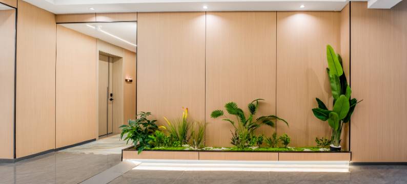 临沧京晨酒店(市人民医院百树广场店)图片