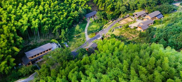 金寨春山·柳遇民宿图片