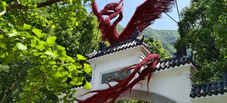 保康蜡梅谷自寨图片