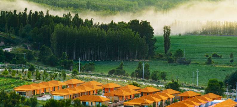 马帮寨营地图片