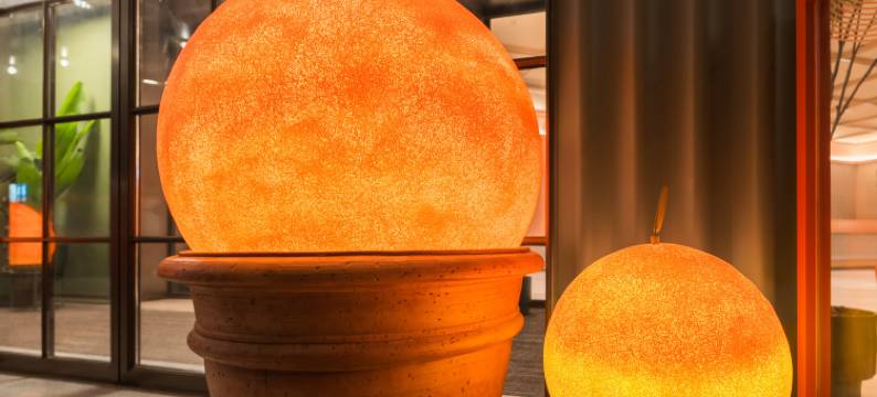 桔子酒店(上海北外滩新华医院店)图片