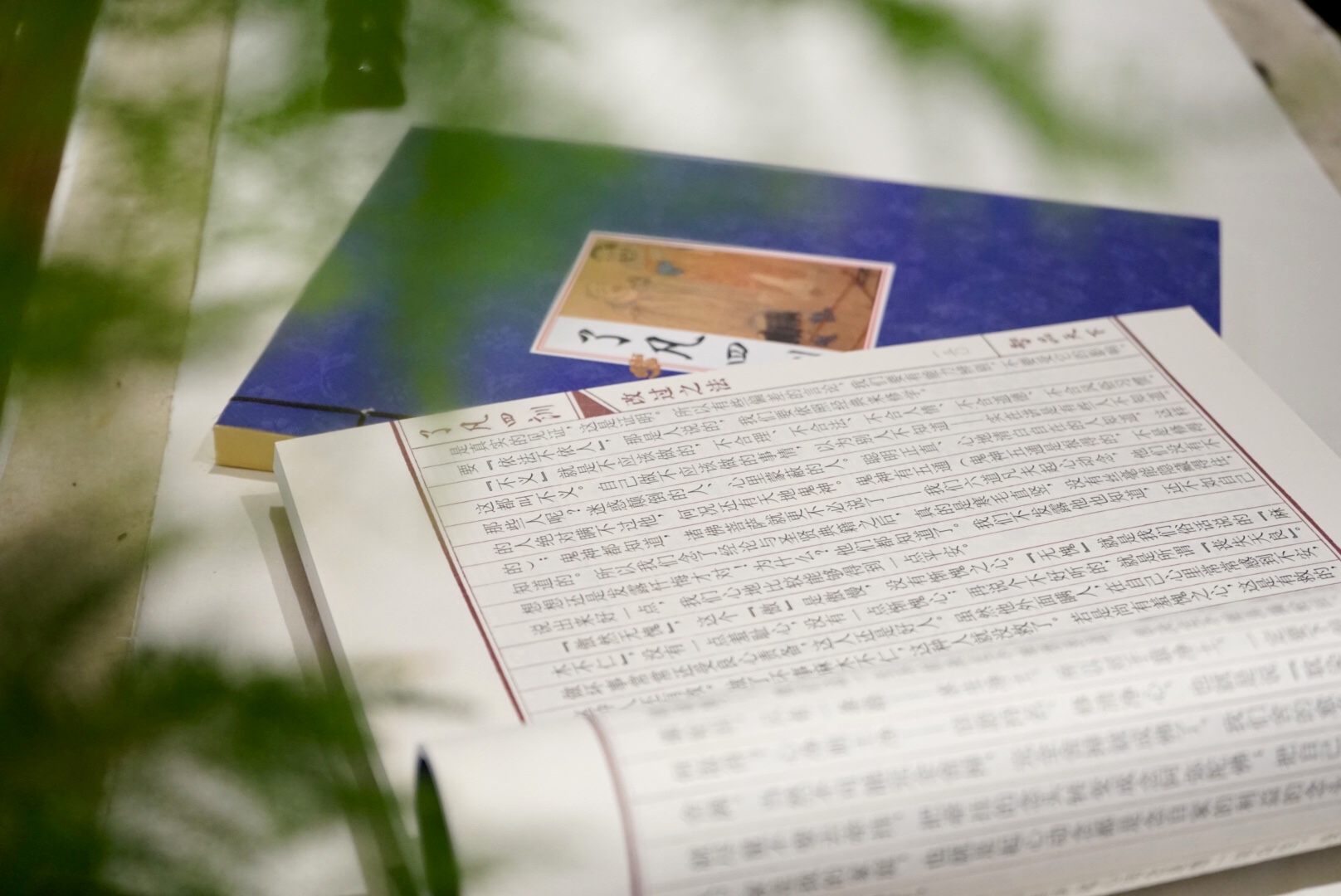 Blossom House Qingyan Ancient TownGuiyangOver view