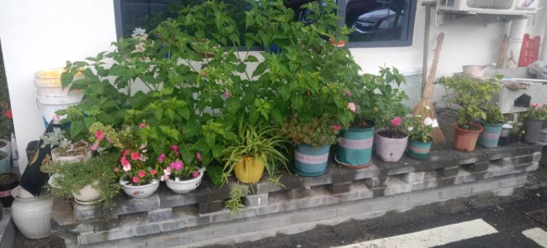 天堂寨清河畔民宿图片