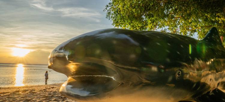 The One Tenggol Island Resort(The One Tenggol Island Resort)图片