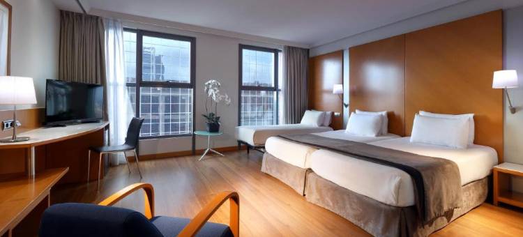 马德里埃克广场酒店(Exe Plaza)图片