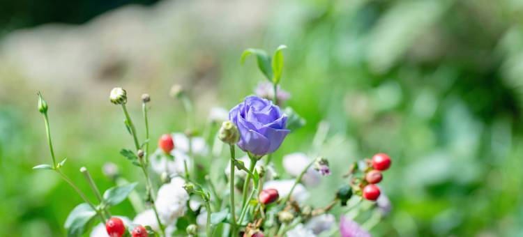 雲亼·曙光里图片