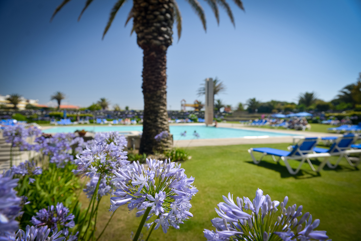 Hotel Solverde Spa and Wellness CenterOver view