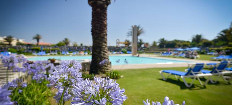 索维德Spa和健康中心酒店(Hotel Solverde Spa and Wellness Center)图片